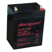 Záložní akumulátor Alarmguard 12V, 2,9Ah, 44A