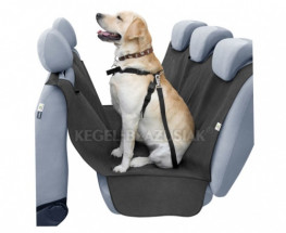 Převoz psa v autě